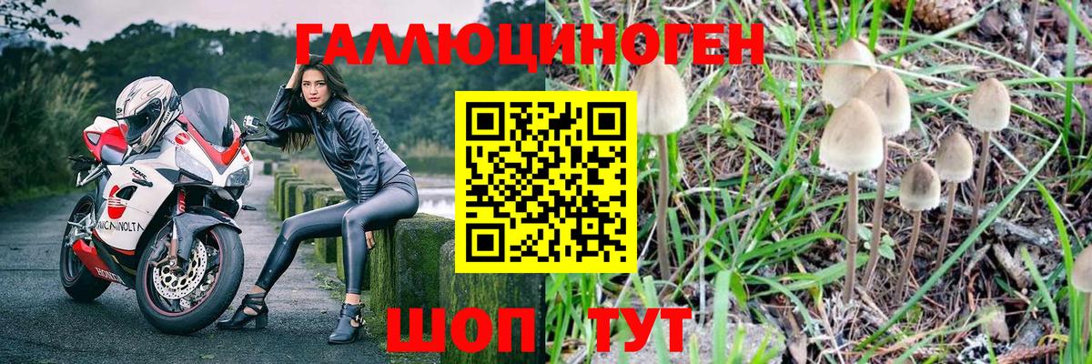 Псилоцибиновые грибы GOLDEN TEACHER Люберцы