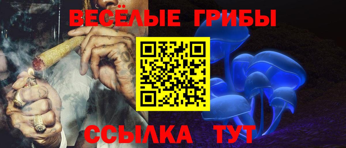 Люберцы  сколько стоит  Вход с VPN  Галлюциногенные грибы Magic Shrooms 